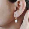 #13 - Coin Baroque Pearl Earrings - Gold Hook - Jewellery