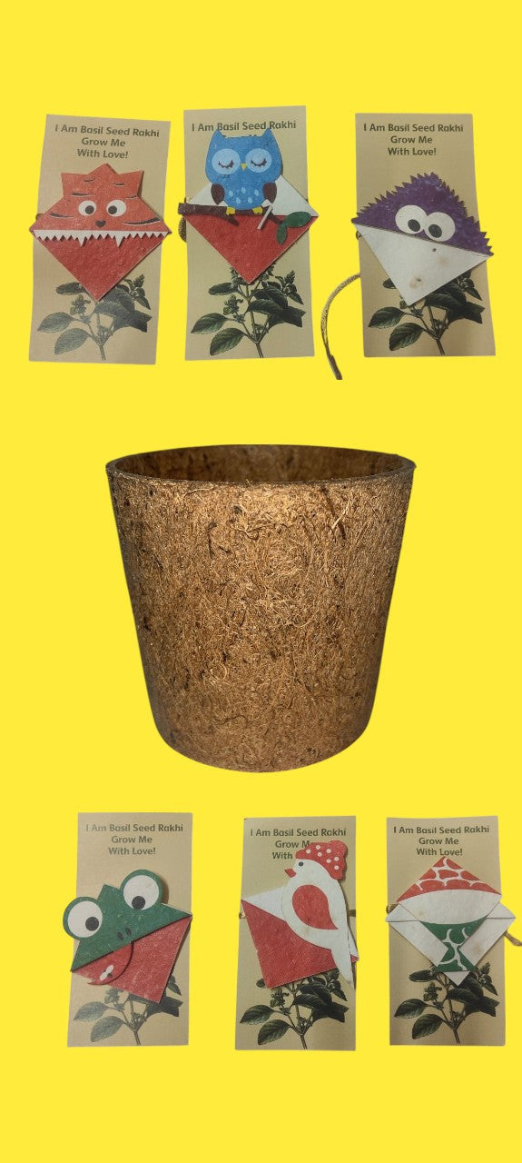 Seed Paper Plantable Rakhi
