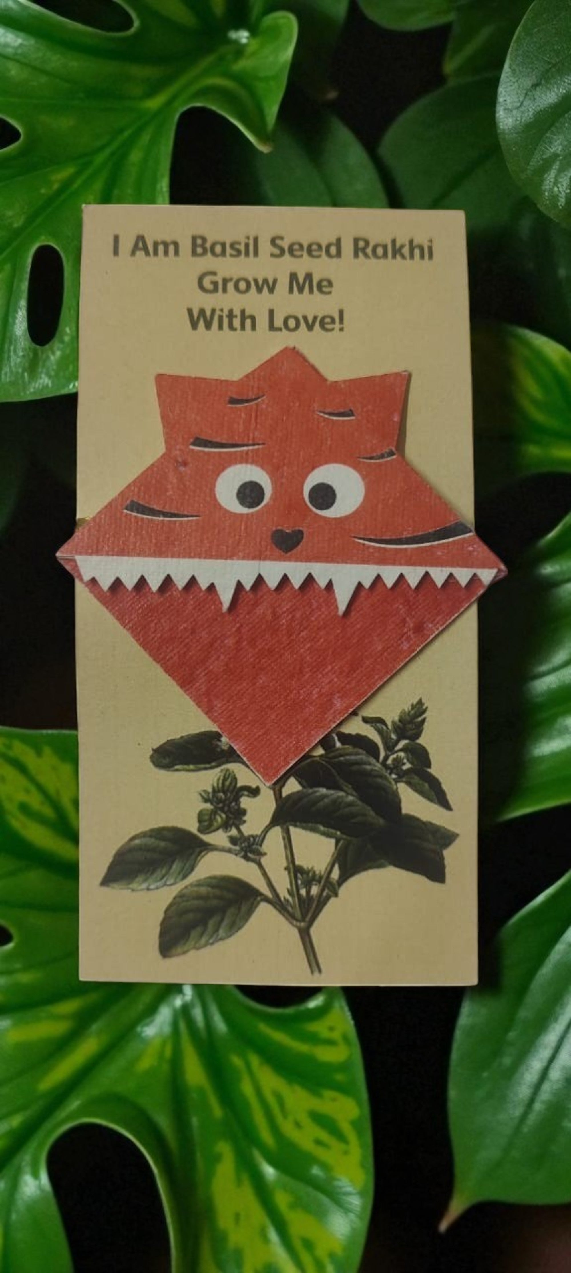 Seed Paper Plantable Rakhi