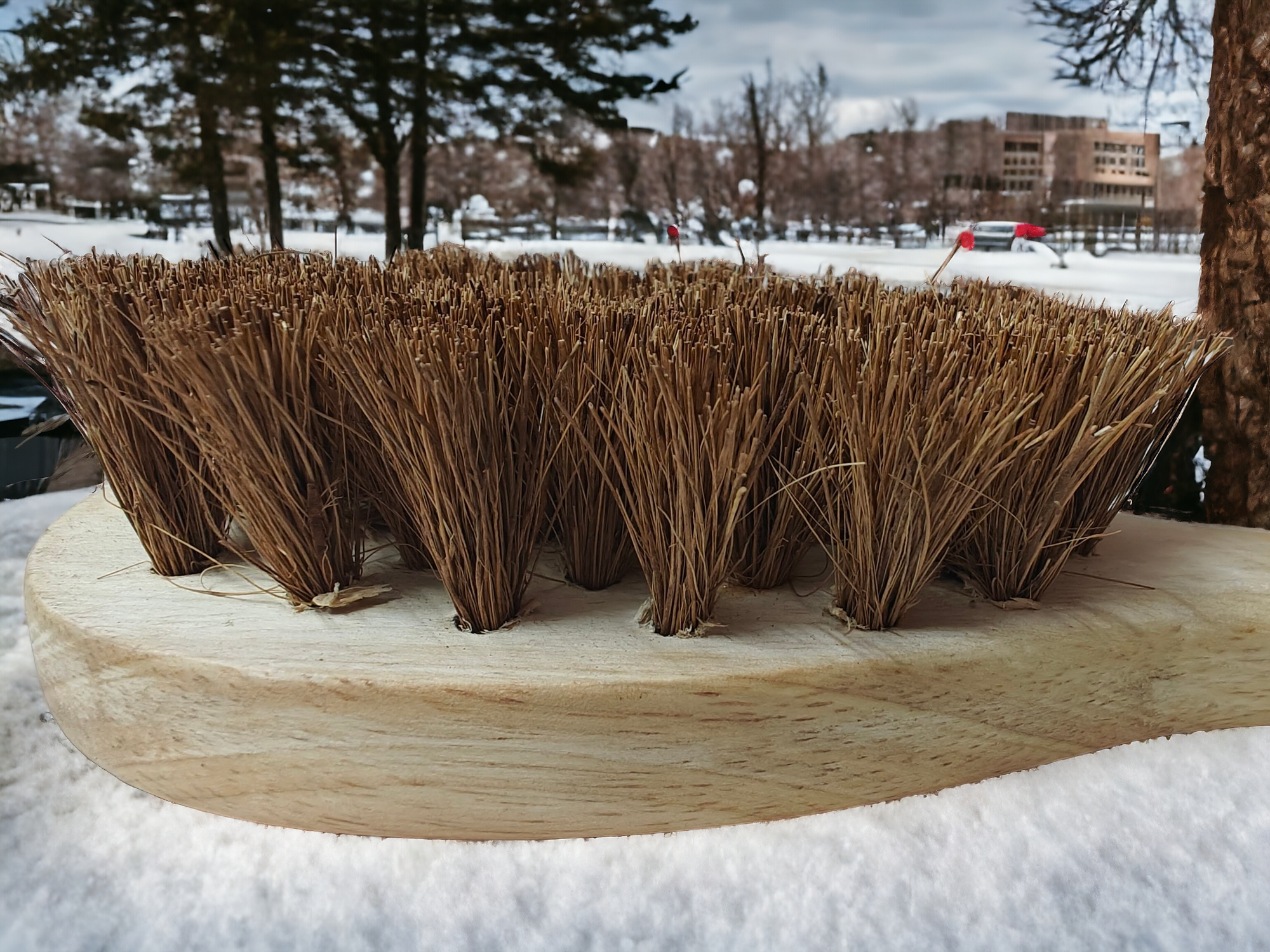 Exfoliating Dry Body Coir Brush