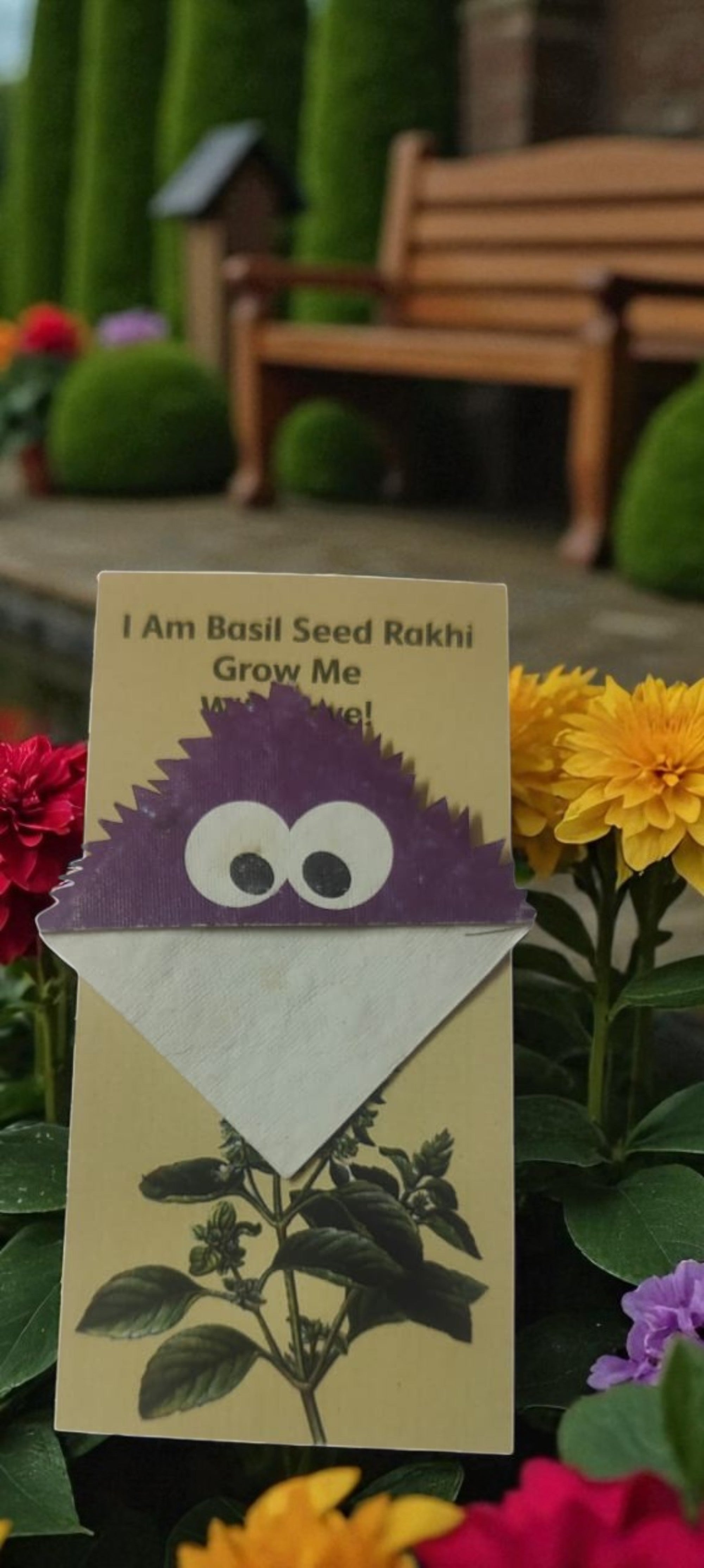 Seed Paper Plantable Rakhi