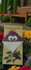 Seed Paper Plantable Rakhi