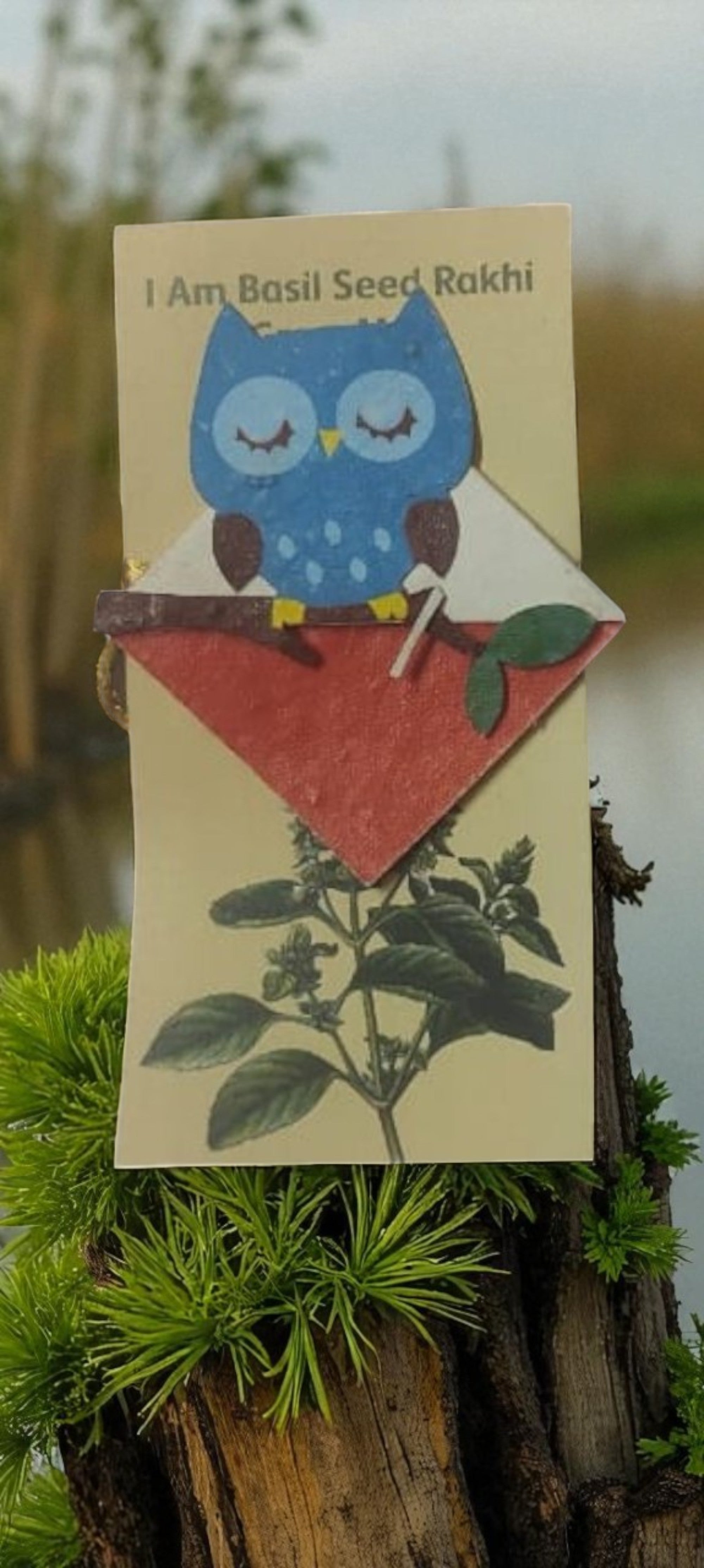 Seed Paper Plantable Rakhi