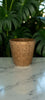 Seed Paper Plantable Rakhi