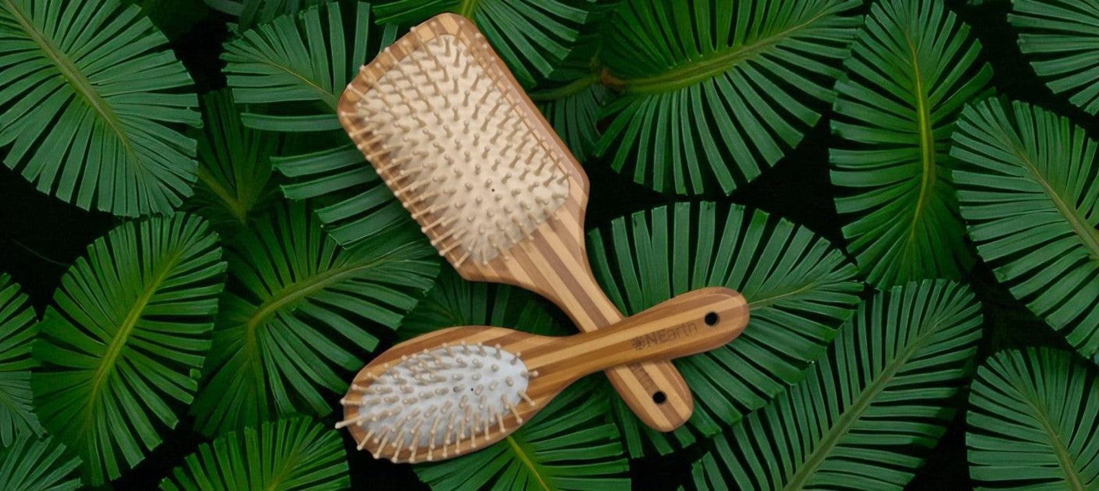 Bamboo Hair Brush | Oval | Rectangle