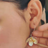 Buds - Silver Plated Brass Metal Earrings - Jewellery