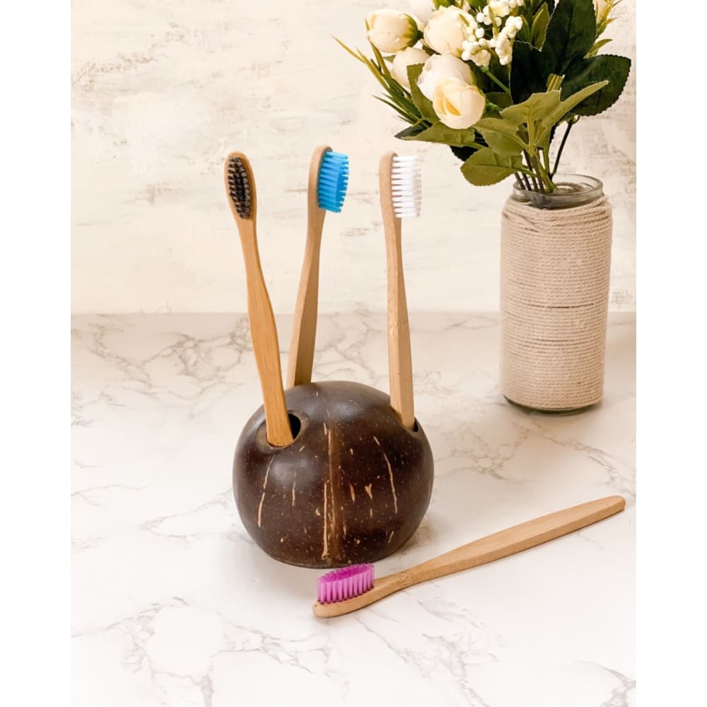 Coconut Shell Toothbrush Holder - Personal care
