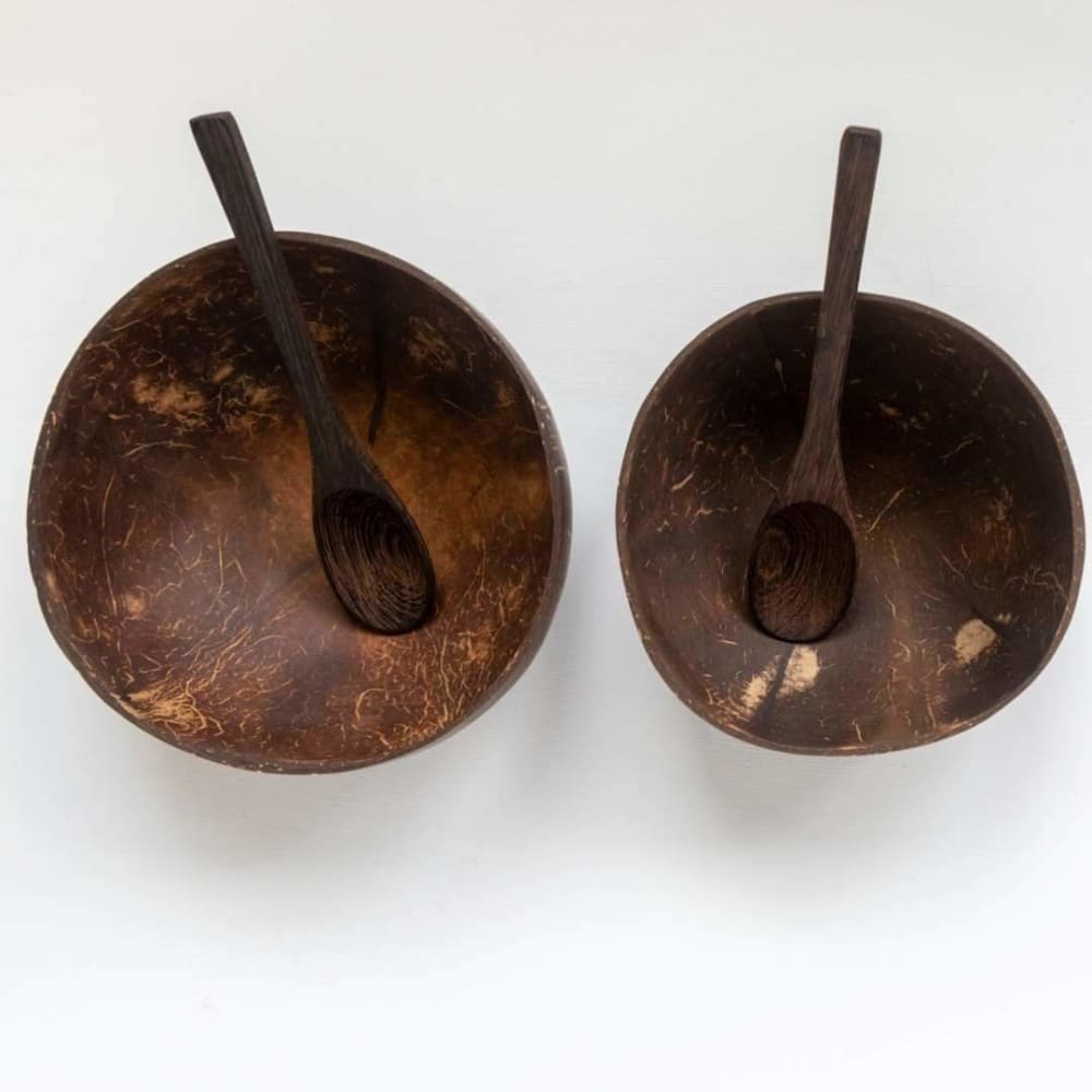 Jumbo Coconut Shell Bowl with Spoon - Pack of 2 - Kitchen