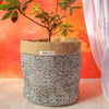 Jute Bags / Planters - Daisy / Small - Home Decor