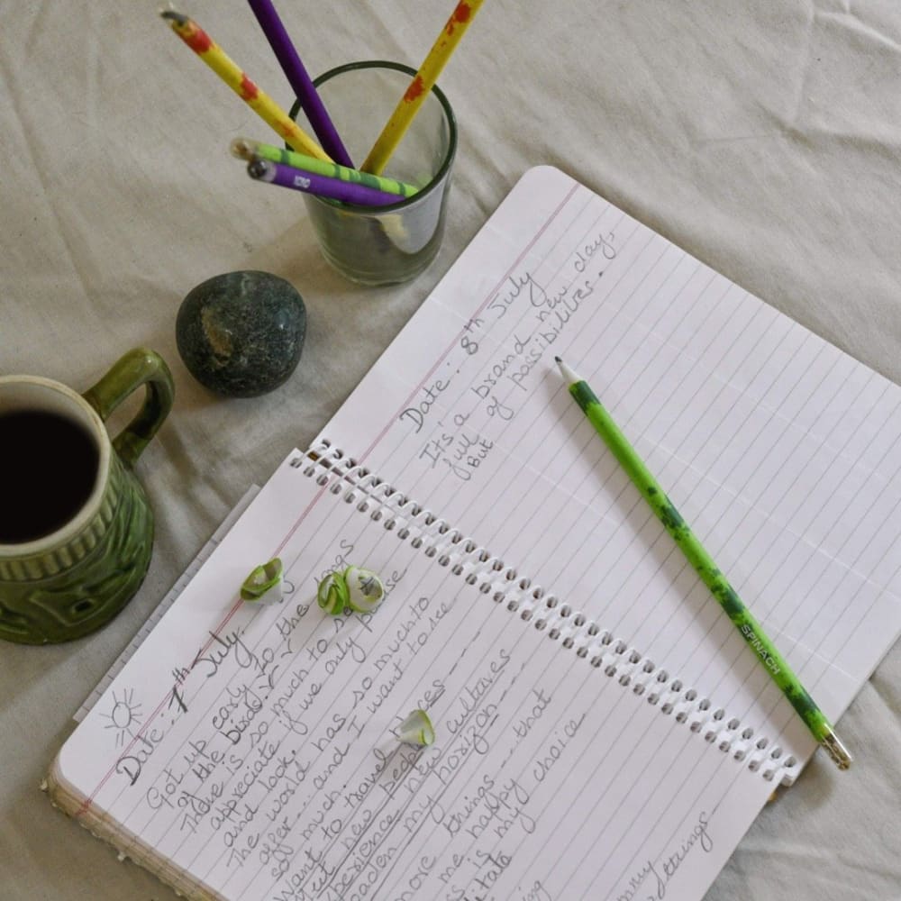 Paper Pencil (Plantable Seed) - Pack of 10 - Stationery