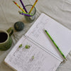 Paper Pencil (Plantable Seed) - Pack of 10 - Stationery