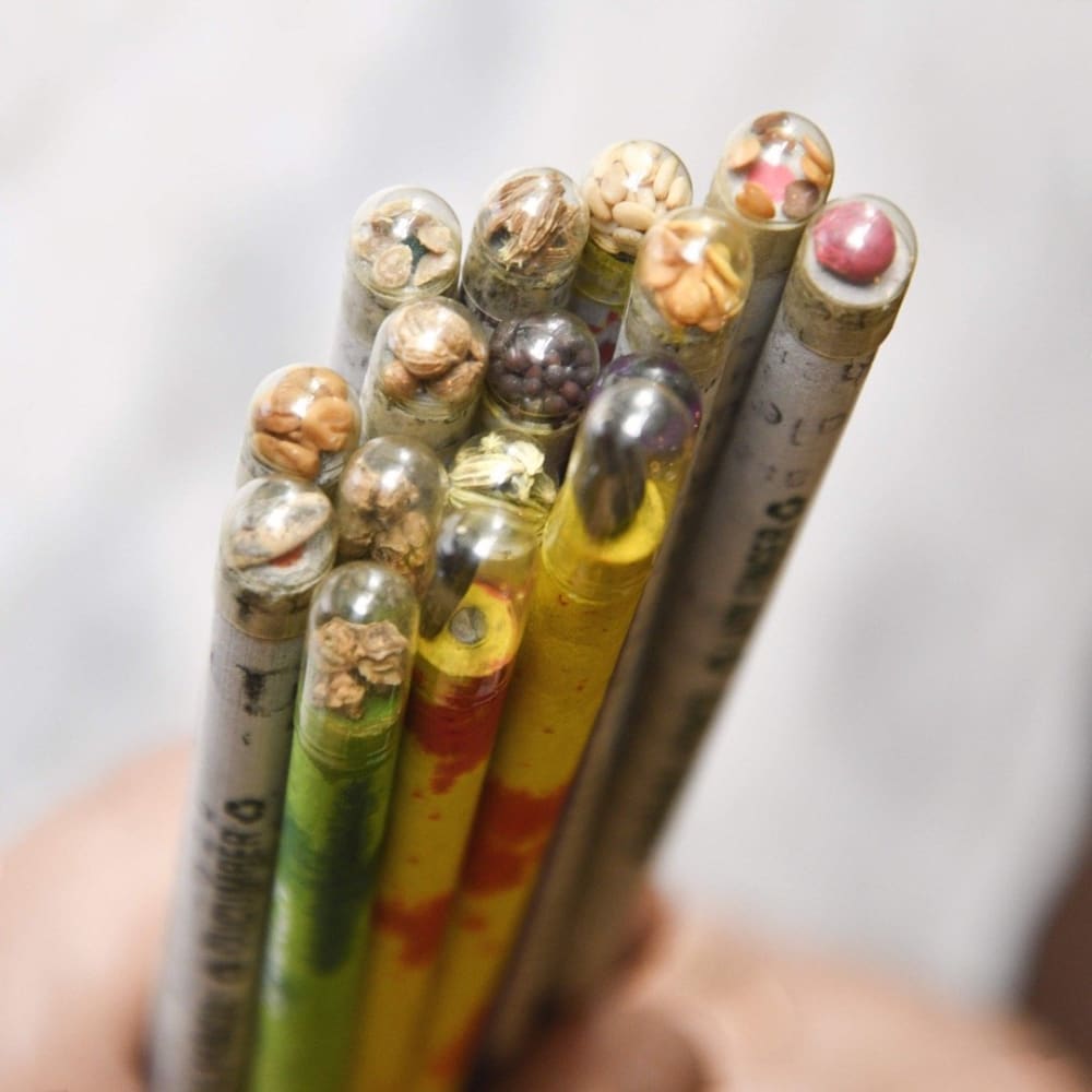 Paper Pencil (Plantable Seed) - Pack of 10 thumbnail 5