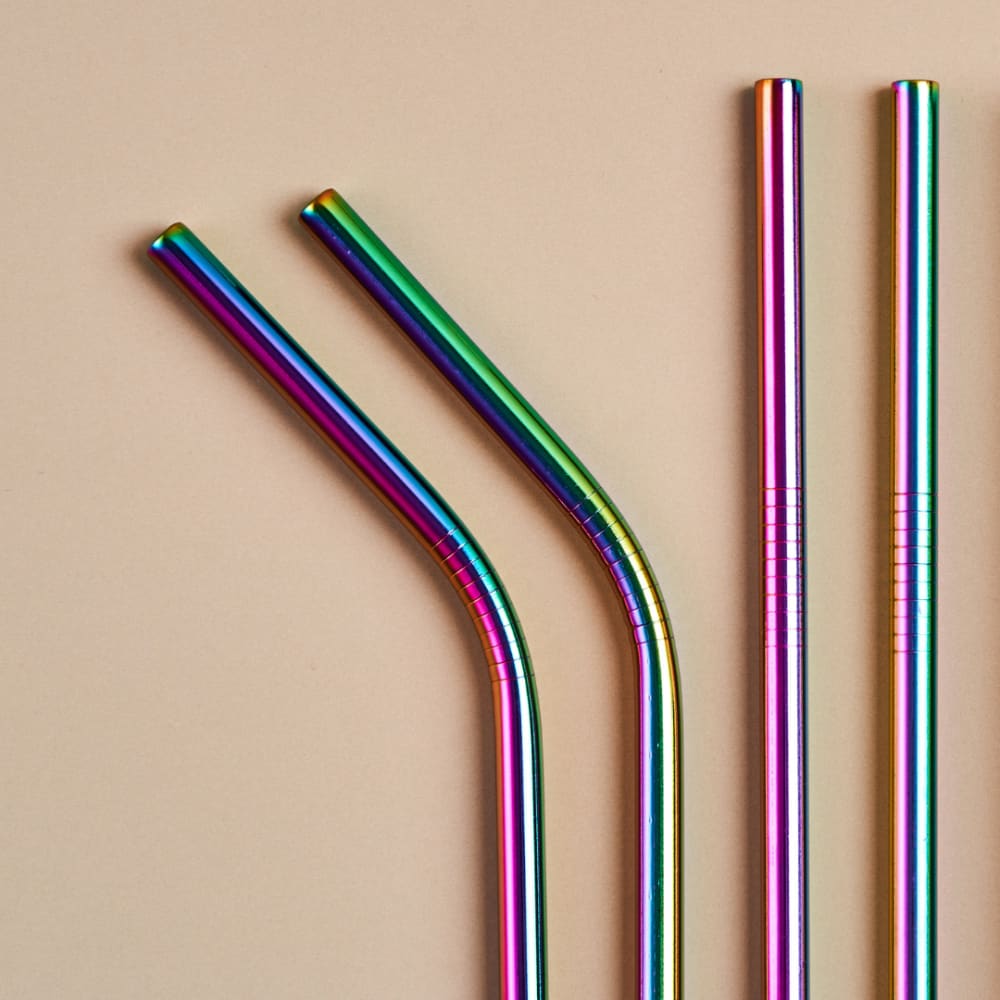 Stainless Steel Straws With Cleaner - Pack of 2 - Rainbow / 
